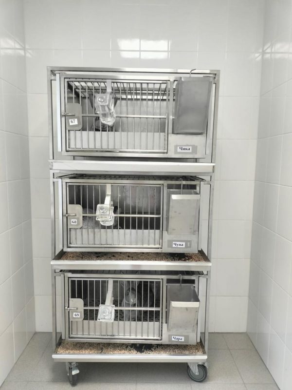 ТД ВЕТ Модуль клеток для лабораторных кроликов 950х500х1700(1860)h с колесами — изображение 10