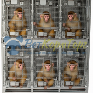Модуль из 6 клеток для лабораторных мартышек Vetbot CL2009