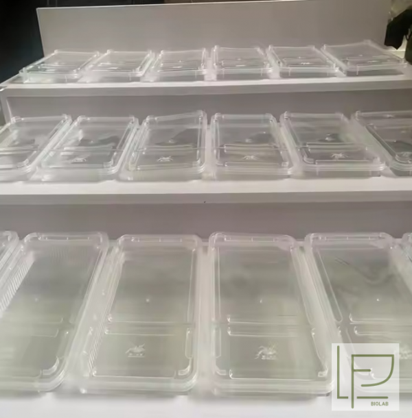LF Biolab 813 Трехуровневый настольный бокс для содержания рептилий — изображение 3