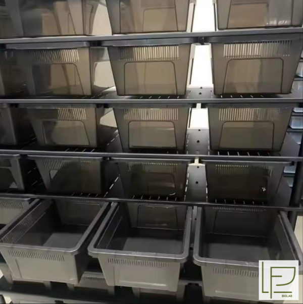 LF Biolab 809 Система для содержания рептилий с регулятором температуры, химостойкий пластик, 14 уровней — изображение 4