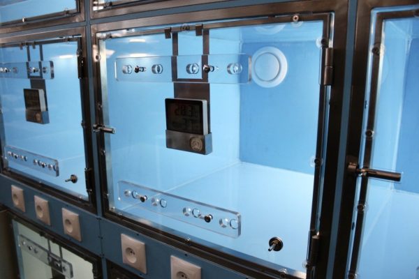 80757 Модуль из 12 полипропиленовых клеток  с освещением  2400х700х1840(2000) с колёсами — изображение 7