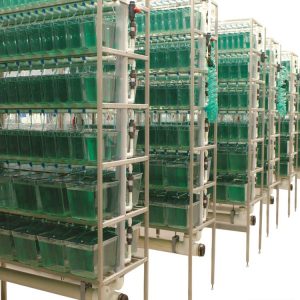 Многосекционный стеллаж с многоступенчатой системой фильтрации LF Biolab 705