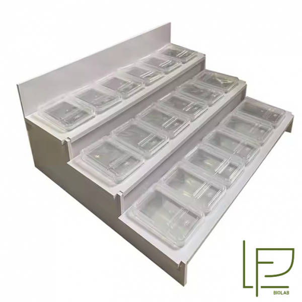 LF Biolab 813 Трехуровневый настольный бокс для содержания рептилий
