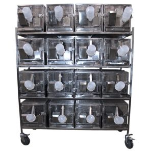 TD1390CL ТД ВЕТ Стеллаж с 16 клетками для лабораторных морских свинок 1320х460х1500h