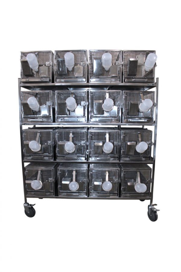 TD1390CL ТД ВЕТ Стеллаж с 16 клетками для лабораторных морских свинок 1320х460х1500h
