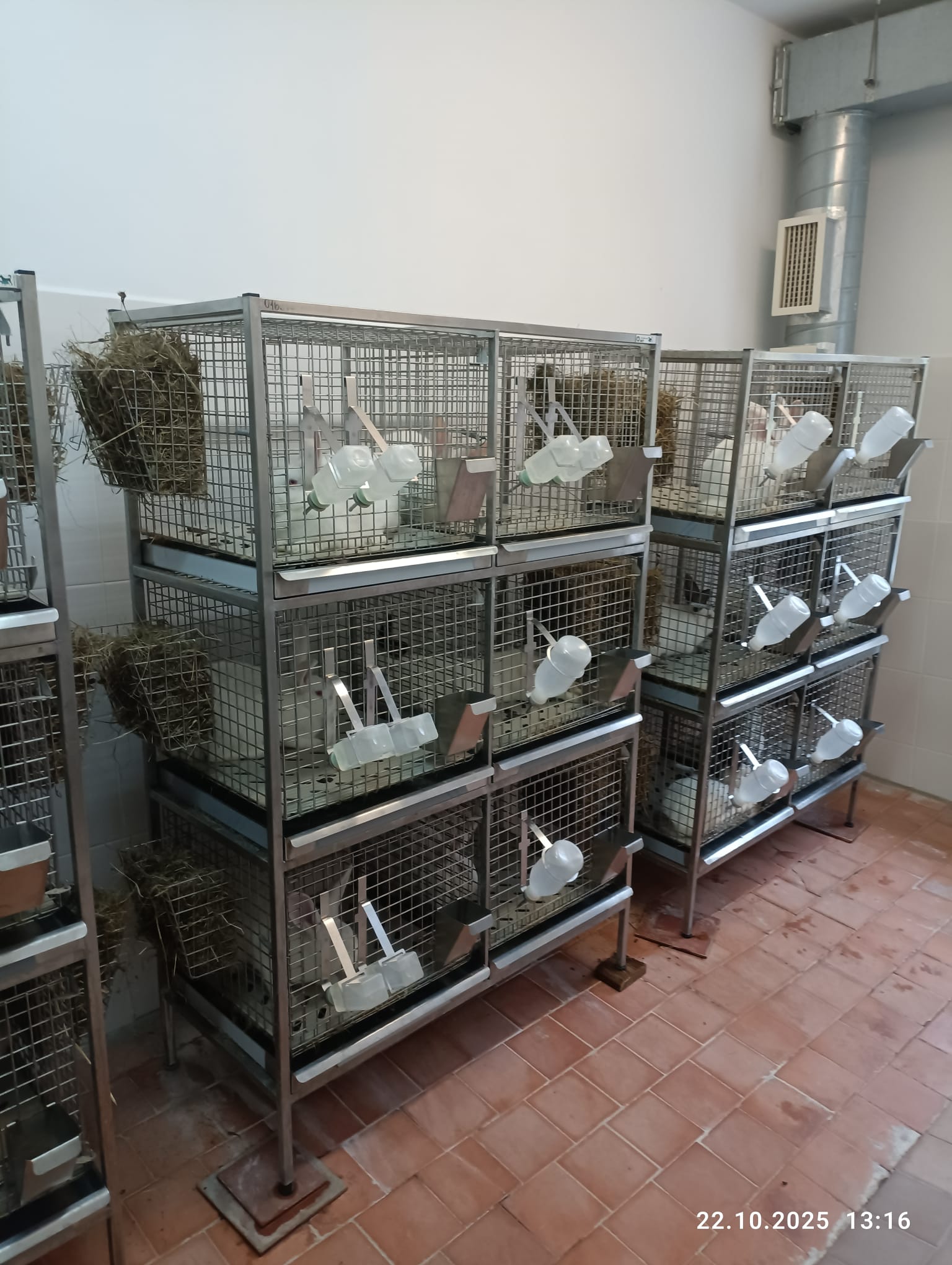 e84e0caa-90bb-4b94-88ba-80676d0f152b