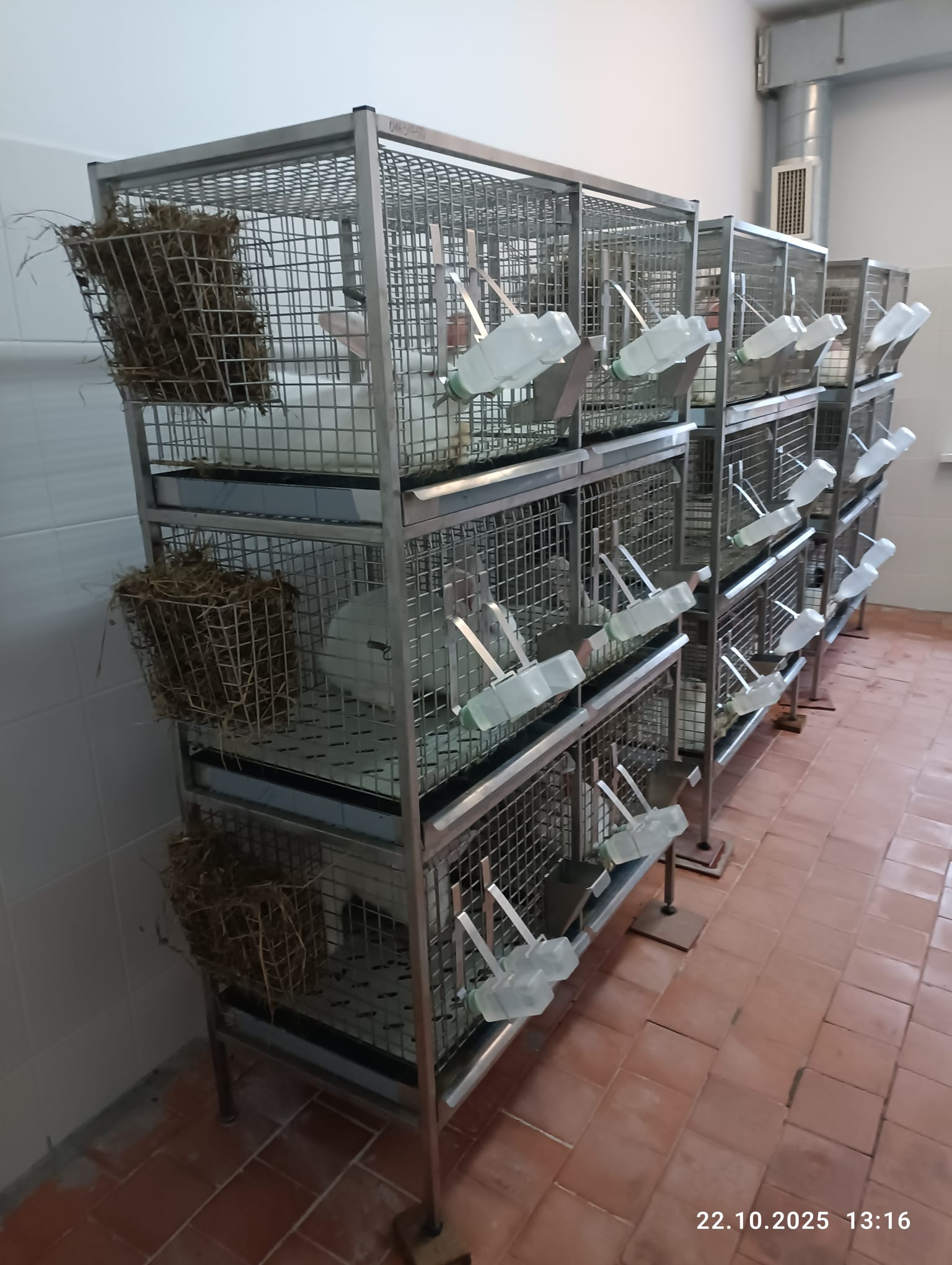 ffa4afe8-fc49-45af-84eb-3e48c7eb3b74