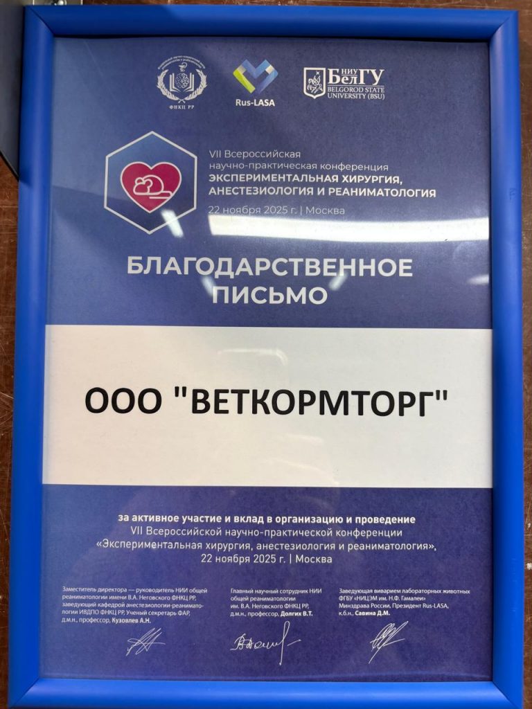 WhatsApp Image 2025-11-25 at 16.22.28 (2)