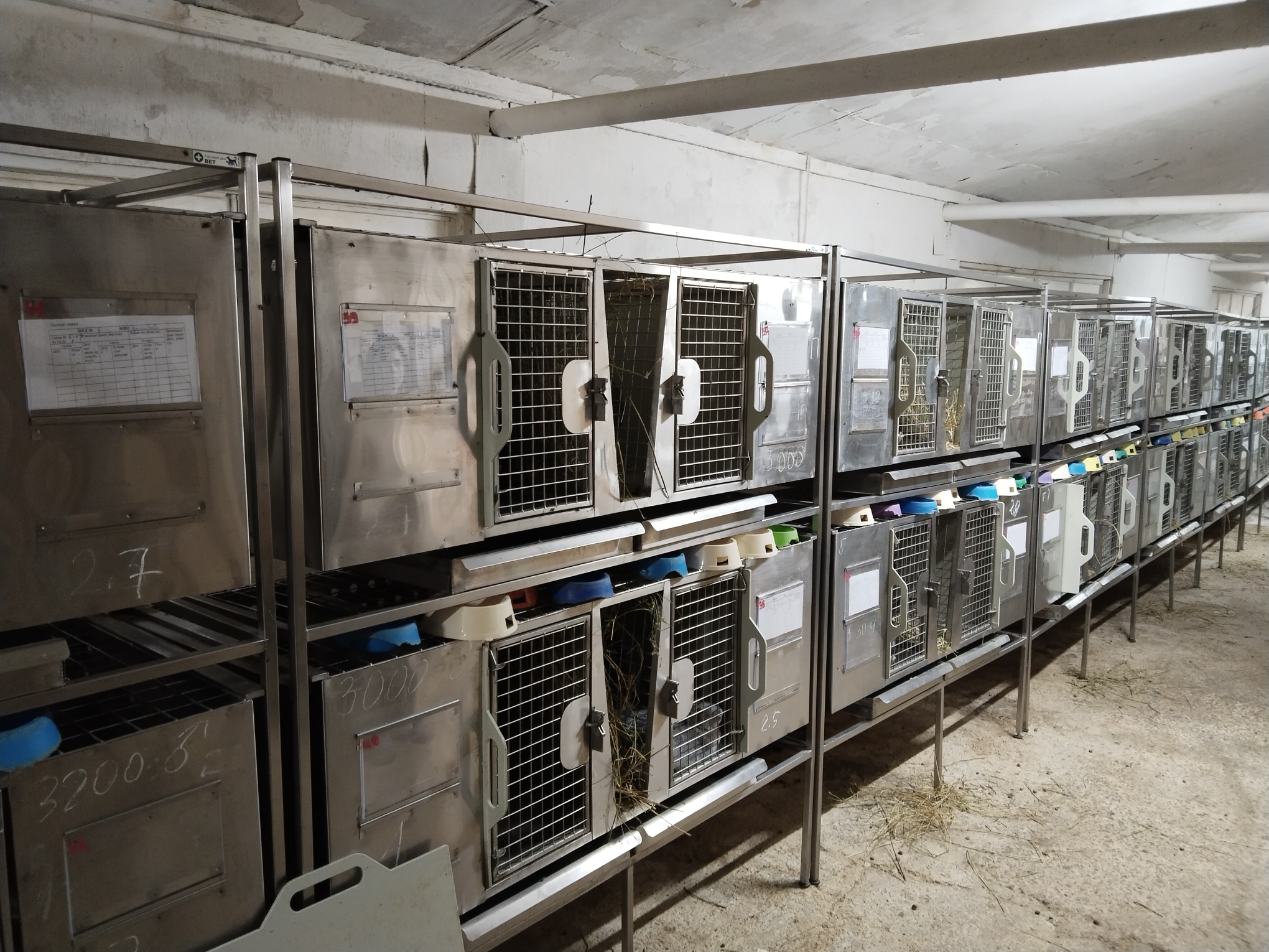 filter: 0; fileterIntensity: 0.0; filterMask: 0; brp_mask:0;
brp_del_th:null;
brp_del_sen:null;
delta:null;
module: photo;hw-remosaic: false;touch: (-1.0, -1.0);sceneMode: 8;cct_value: 0;AI_Scene: (-1, -1);aec_lux: 0.0;aec_lux_index: 0;albedo:  ;confidence:  ;motionLevel: -1;weatherinfo: null;temperatu