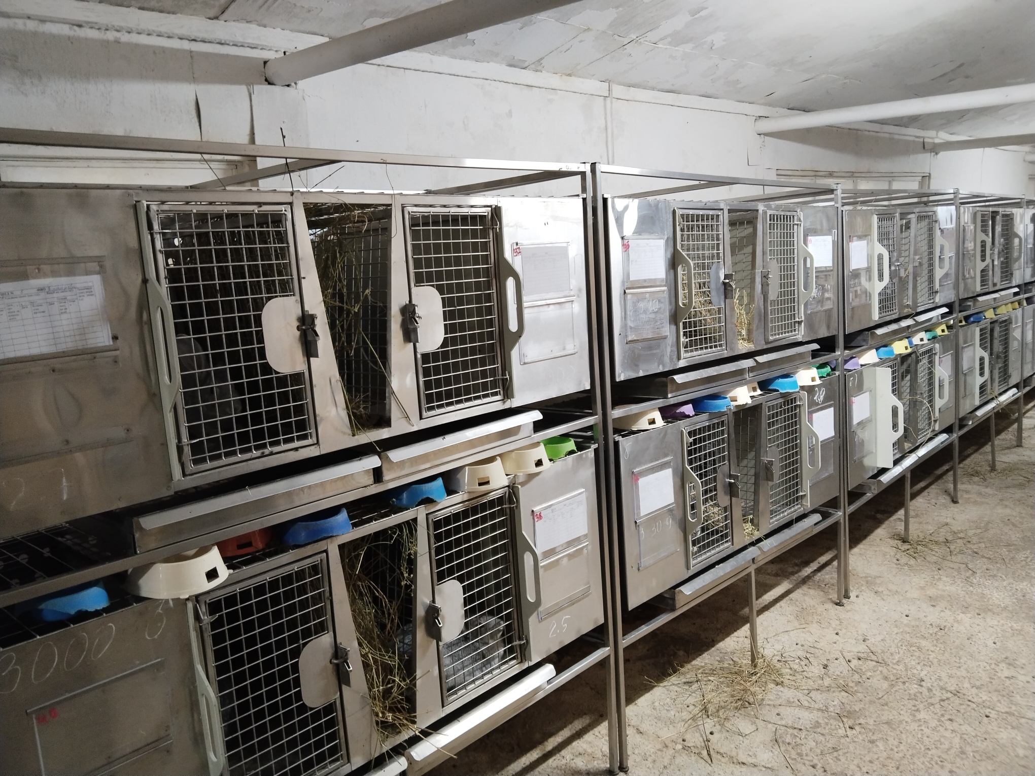 filter: 0; fileterIntensity: 0.0; filterMask: 0; brp_mask:0;
brp_del_th:null;
brp_del_sen:null;
delta:null;
module: photo;hw-remosaic: false;touch: (-1.0, -1.0);sceneMode: 8;cct_value: 0;AI_Scene: (-1, -1);aec_lux: 0.0;aec_lux_index: 0;albedo:  ;confidence:  ;motionLevel: -1;weatherinfo: null;temperatu