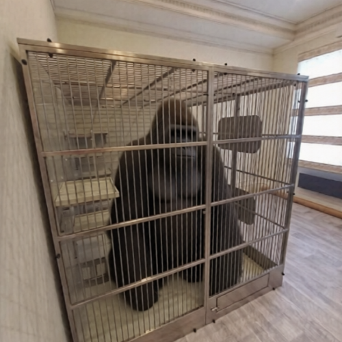 63aeb76195d9d_IMG-20221229-WA0028