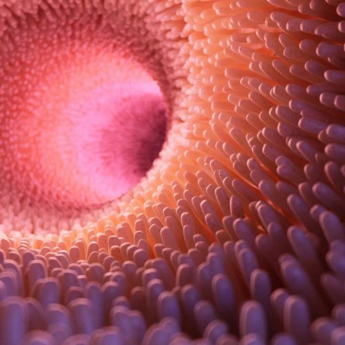 Butylin-54-scaled-1024x1050-c-ce