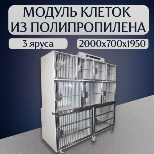 Frameувувув 1