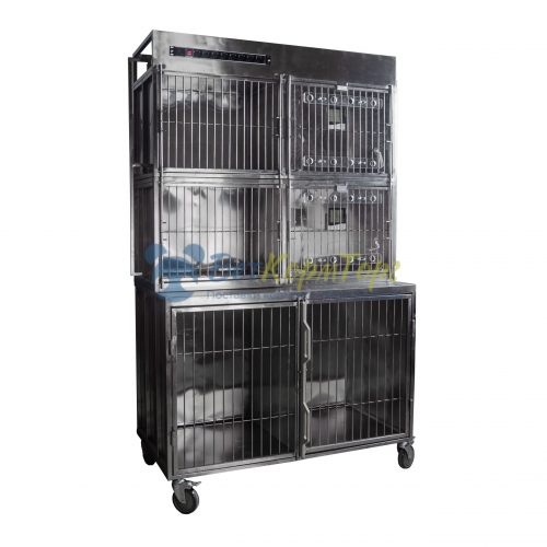 modul-80422-scaled