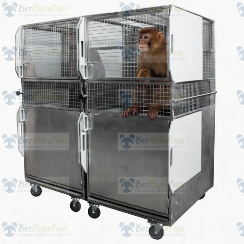 picture_98ed5ffdc6b14ccf850ae6cd8ff05725