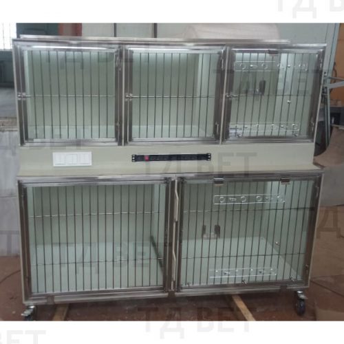 tdvet-modul-80387-live-3