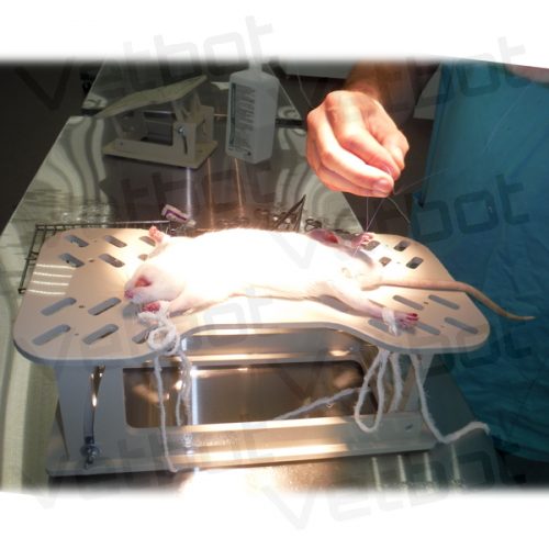 vetbot-stanok-stl-1