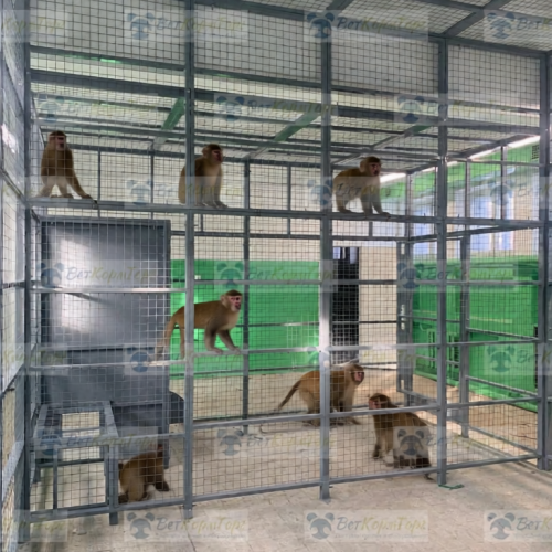 WhatsApp-Image-2023-02-09-at-14.24.20-6